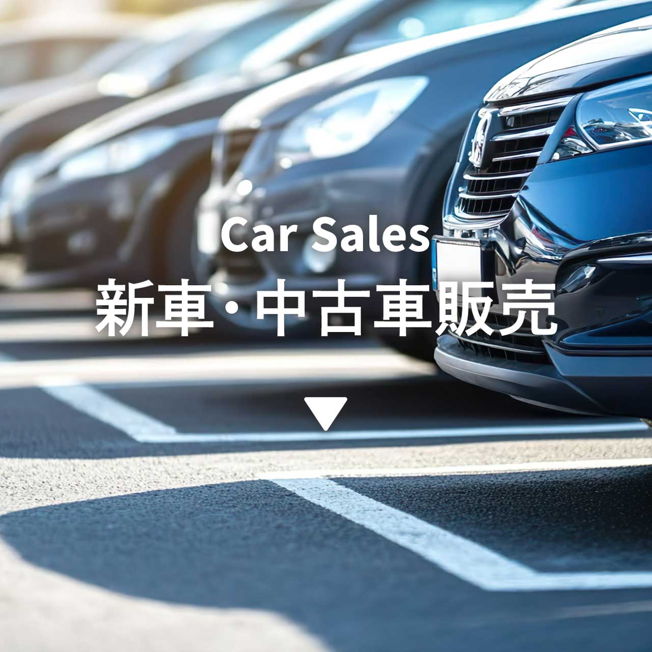 新車・中古車販売はこちら